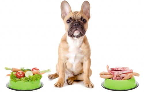 Еда для собак натуралка рецепты для маленьких пород собак