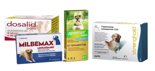 препараты которыми глистогонят собак